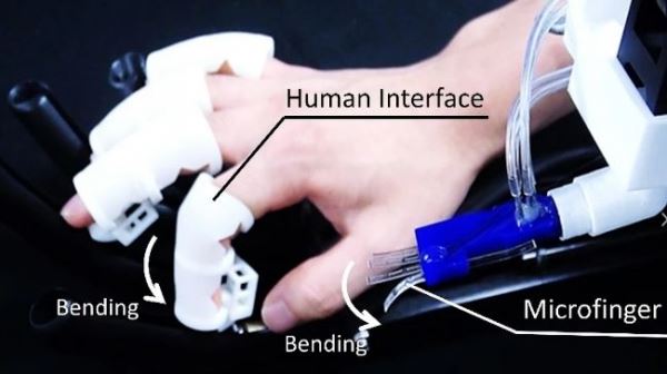 Японские исследователи разработали роботизированный палец для взаимодействия с насекомыми